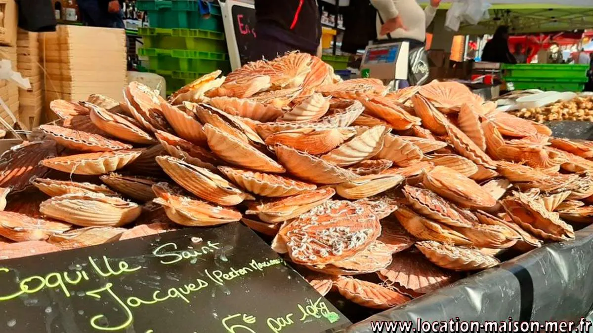 La fête de la coquille à Ouistreham