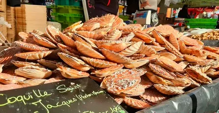 La fête de la coquille à Ouistreham.